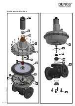 Предварительный просмотр 47 страницы Dungs FRM-NOC 100025 HD Instruction Manual