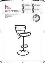 Preview for 1 page of Duo Collection PRINCETON I Assembly Instructions Manual