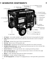 Preview for 14 page of DUROMAX DuroStar DUAL FUEL DS10000EH User Manual