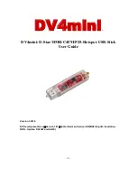 DV Development Group DV4mini User Manual preview