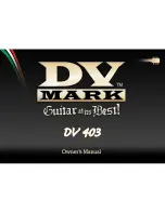 Preview for 1 page of DV Mark DV 403 Owner'S Manual