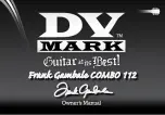 Preview for 1 page of DV Mark Frank Gambale Combo 112 Owner'S Manual