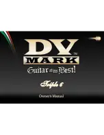 DV Mark Friple 6 Owner'S Manual preview
