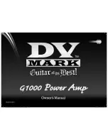 DV Mark q1000 Power Amp Owner'S Manual preview