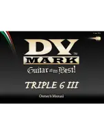 DV Mark Triple 6 III Owner'S Manual preview