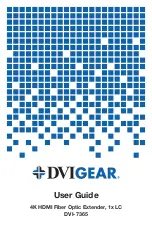 Preview for 1 page of DVIGear DVI-7365 User Manual