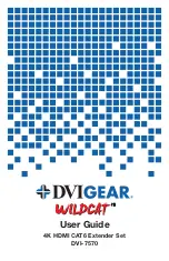 DVIGear WILDCAT DVI-7570 User Manual preview