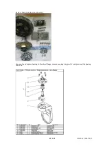 Предварительный просмотр 49 страницы Dvorak SPIDER MINI II Service Manual