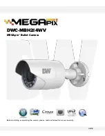 DW MEGApix DWC-MBH2I4WV User Manual предпросмотр