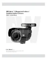 Предварительный просмотр 1 страницы DW MEGAPIX User Manual