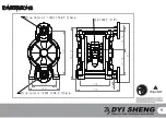 Preview for 10 page of DYI SHENG DS10-P-02 Operating Manual