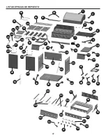 Preview for 45 page of Dyna-Glo DGE530BSP-D Manual