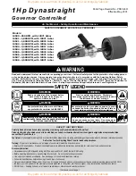 Dynabrade Dynastraight 13501 Operation And Maintenance preview