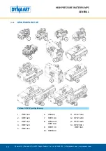 Предварительный просмотр 10 страницы Dynaset HPW 1000 User Manual