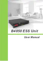 Preview for 1 page of Dyness B4850 User Manual