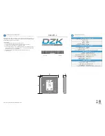 DZK DZK-ZTS-3 Manual предпросмотр