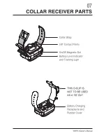 Preview for 8 page of E-Collar Technologies 300TS Owner'S Manual