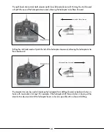 Предварительный просмотр 31 страницы E-FLITE Blade CP Manual