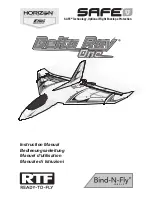 E-FLITE Delta Ray One Instruction Manual предпросмотр