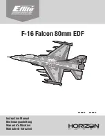 Предварительный просмотр 1 страницы E-FLITE EFL87850 Manual