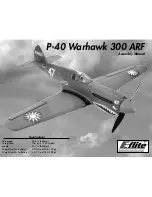 E-FLITE P-40 Warhawk 300 Assembly Manual preview