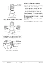 Предварительный просмотр 7 страницы E2S GNExB2X05 Series Instruction Manual