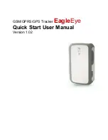 Preview for 1 page of Eagle Eye Tracking EagleEye Quick Start User Manual