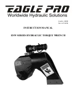 Eagle Pro ESW-1 Instruction Manual preview