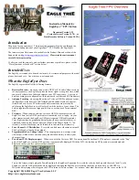 Eagle Tree Systems EagleEyes Instruction Manual preview