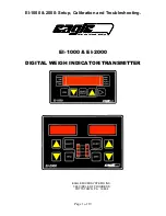 Предварительный просмотр 1 страницы Eagle EI-1000 Setup, Calibration And Troubleshooting