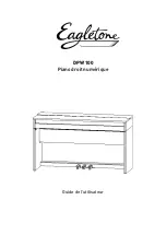 Preview for 1 page of Eagletone DPW 100 Owner'S Manual