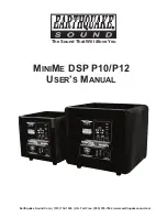 EarthQuake MiniMe DSP P12 User Manual preview