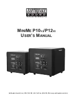 EarthQuake MiniMe P10 User Manual preview