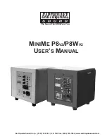 EarthQuake MINIME P8V2 User Manual preview