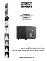 EarthQuake Supernova MKIV-10 User Manual preview