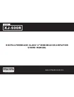 EarthQuake XJ-600R User Manual предпросмотр