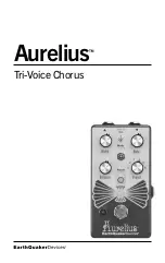 EarthQuaker Devices Aurelius Manual preview