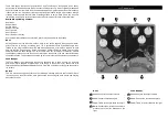 Предварительный просмотр 2 страницы EarthQuaker Devices Hoof Repeater Operation Manual