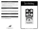 EarthQuaker Devices Levitation Operation Manual preview