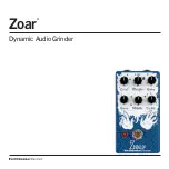 EarthQuaker Devices Zoar Manual preview