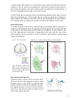 Предварительный просмотр 5 страницы Earthworks SV33 User Manual