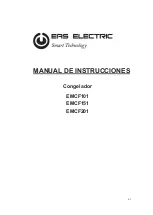 EAS Electric EMCF101 User Manual preview