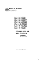 EAS Electric EMH363CGB Manual preview