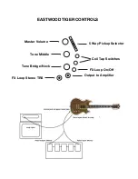 Preview for 2 page of Eastwood TIGER GUITAR Manual