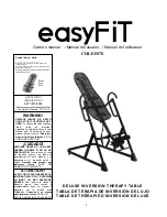 easyFiT CHI-EF07E Owner'S Manual предпросмотр