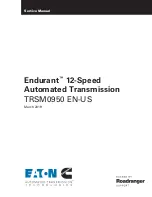 Eaton Endurant Service Manual preview