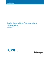 Eaton TRSM0605 Service Manual preview