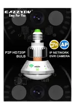 EazzyDV P2P HD720P BULB Manual preview