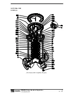 Preview for 28 page of EBARA EVMSU Operation, Installation & Maintenance Manual Operation, Installation & Maintenance Manual