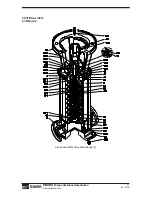 Preview for 31 page of EBARA EVMSU Operation, Installation & Maintenance Manual Operation, Installation & Maintenance Manual